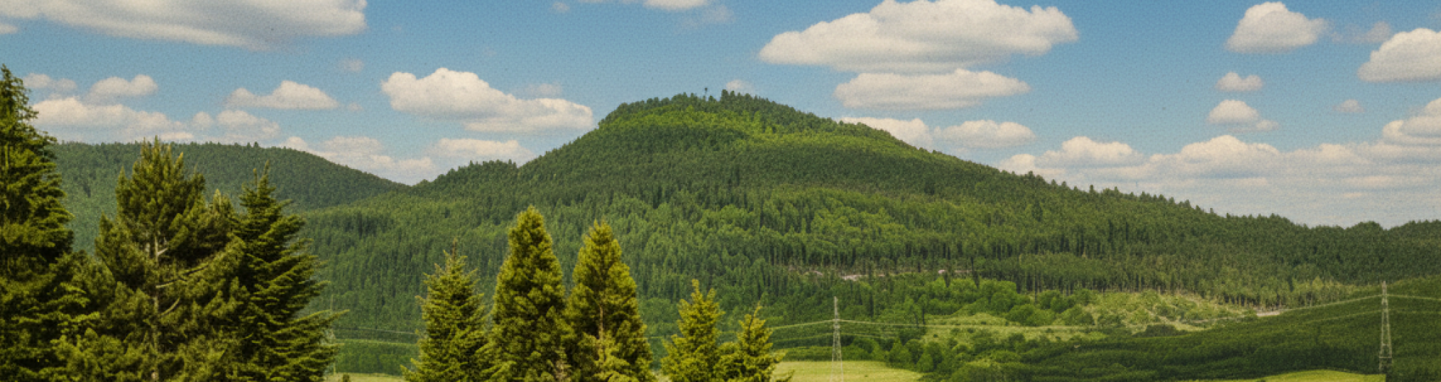 Schwäbischer Albverein | Ortsgruppe Wilflingen/Rottweil